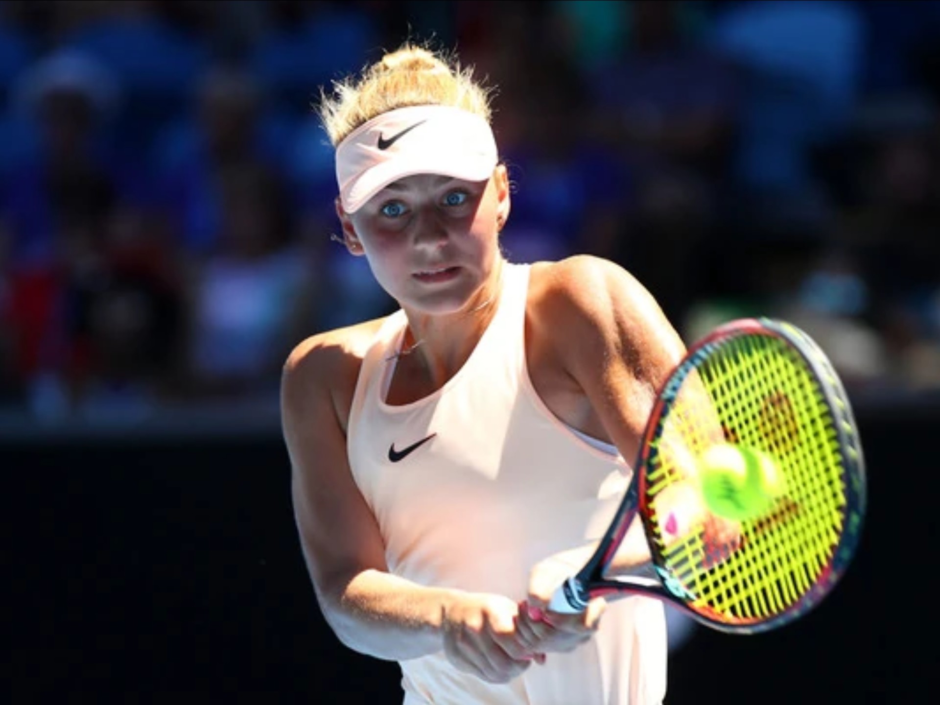 篮和多样的 篮和多样的